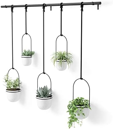 Ensemble de 5 pots suspendus Umbra Triflora : Jardinière d'intérieur ajustable avec rails, blanc - Idéal pour décorer votre espace !