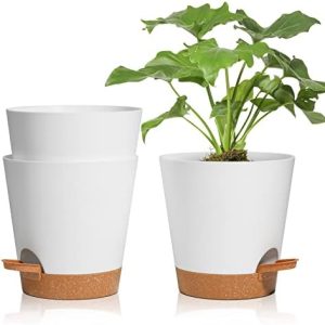 Pots de Fleurs en Plastique Blanc 16.5cm Auto Arrosant - Idéal pour Orchidées, Basilic et Herbes - Système d'arrosage intégré